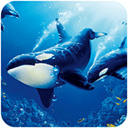 虎鲸模拟器中文版