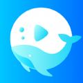 鲸看播放器app最新版