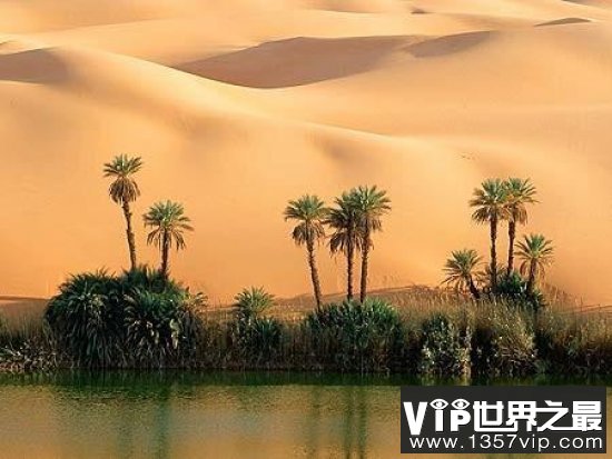 全球10大最壮观的沙漠绿洲，你知道几个？
